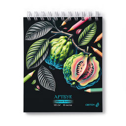 Светоч А307 Артбук (Скетчбук), блок чёрный, жесткая подложка, 120 г/м2 175*200 мм на гребне 30 л. 2 шт. Нуар 01942  фото 14