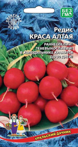Редис КРАСА АЛТАЯ  Раннеспелый! Теневыносливый! В холодильнике хранится до 30 дней! Сибирская селекция!