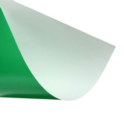 Бумага цветная А4, 10 листов, 10 цветов Ёжик в лесу, мелованная, в папке - Calligrata фото 3