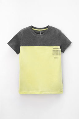 КР 302228/тем.серый меланж,фисташковый к422 фуфайка для мал - Crockid фото 2