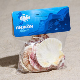 Набор ракушек «Гребешок пуксидатус», размер 4 - 6 см, 100 г