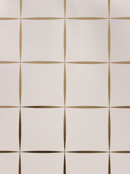 Цена за 10 шт. Сумка переноска для цветов, влагостойкая, белая, с тиснением, 22×10.5×13.5±5% см