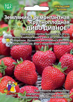 Земляника ДИВО ДИВНОЕ Ремонтантный, крупноплодный сорт!