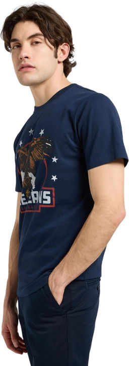 Футболка мужская