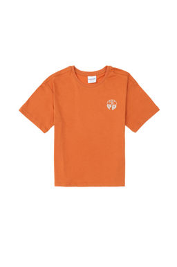 Базовая футболка с корицей для мальчиков Неожиданная скидка в корзине