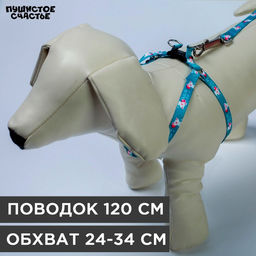 Комплект Хочу на ручки, шлейка 24-34х1 см, поводок 120 см