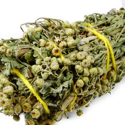 Трава для окуривания Пижма 30-40гр чистит ауру от макушки до пят, дарует защиту, привлекает любовь