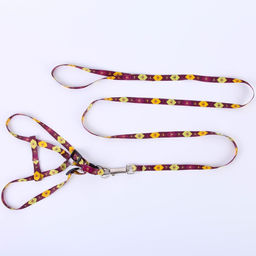 Комплект Пчёлы, шлейка 24-36 см, поводок 120х1 см - Пушистое счастье фото 3