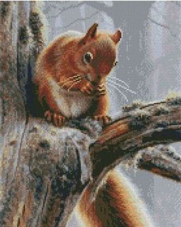 Пушистая белочка - Colibri фото 2