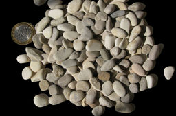 Грунт Алиса Галька Морская светлая калибров. №5 800 г. 50165 00-00004275