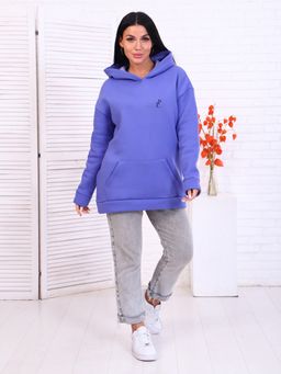 Толстовка с капюшоном, футер с начесом 3-х нитка (878-3) - Плиона фото 2