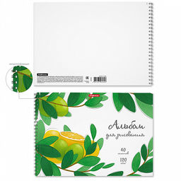 Цена за 4 шт. Альбом для рисования на спирали ErichKrause Juicy Fruits, А4, 40 листов, микроперфорация  фото 2