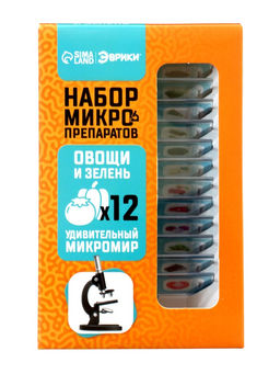 Набор для опытов «Набор микропрепаратов», овощи и зелень