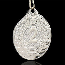 Медаль призовая 004 диам 5 см. 2 место. Цвет сер. С лентой - Командор фото 3