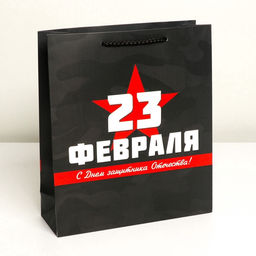 Пакет подарочный ламинированный, упаковка, «С 23 февраля», M 26×30×9 см