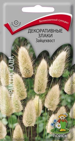 Декоративные злаки Зайцехвост (ЦВ) (1) 0,1гр.