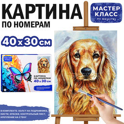 Картина по номерам MKR4030-30 "Спаниель" 30х40 см.
