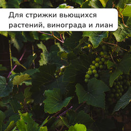 Кусторез, 19 (48 см), с деревянными ручками, Greengo  фото 7