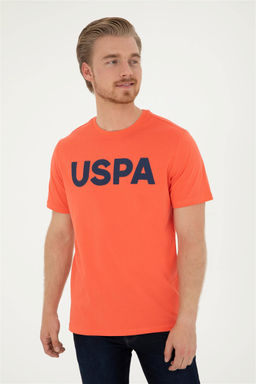 Мужская базовая футболка с цветком граната