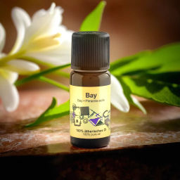 Эфирное масло БЭЙ STYX, 10 мл