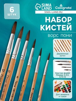 Набор кистей для рисования, пони, 6 штук: № 2, 4, 6, 8, 10, 12, круглые, деревянная ручка, международный размер