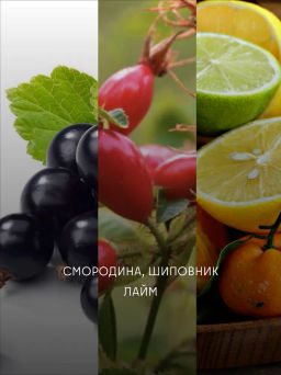 Кофе Кения Маримира фильтр / молотый - Калипсо фото 4