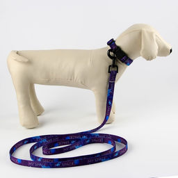 Набор MY SPACE, застёжка - фастекс, поводок 2 м и ошейник 28-46 см - Пушистое счастье фото 9