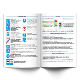 Светоч Дневник школьный 1-4 класс, неоновая краска, A5+ 48 л. 12 шт. твердый переплет 60 г/кв.м Я готов 48ДТ5_000054  фото 6