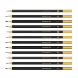 VISTA-ARTISTA Academia VAGPM-12 Чернографитные карандаши набор заточенный ассорти 2 х 12 шт. ассорти в металлической коробке