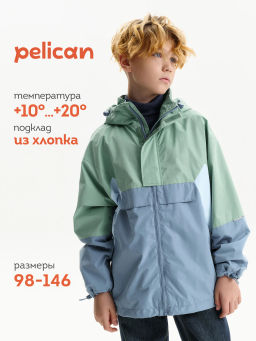 PELICAN, ветровка для мальчиков, Зеленый