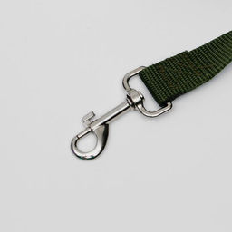 Поводок 7 м х 2,5 см, зеленый - Пижон фото 2