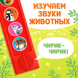 Цена за 2 шт. Музыкальная развивающая игрушка Звуки леса, 5 кнопок - Буква-ленд фото 3