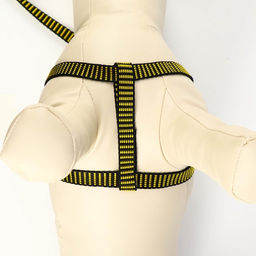 Комплект амуниции рельефный, поводок 120 х 1,5 см, ОГ 36-49 см, жёлто-чёрный - Пижон фото 5