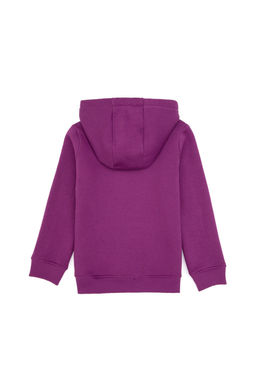 K_z _ocuk Menek_e Payet __lemeli _ardonlu Kap__onlu Basic Sweatshirt Sepette S_rpriz _ndirim - U.s. polo assn фото 2