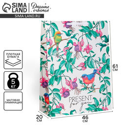 Пакет подарочный ламинированный, упаковка, Present for you, 61?46?20 см