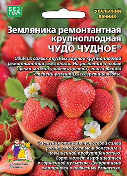 Земляника ЧУДО ЧУДНОЕ Ремонтантный, крупноплодный сорт! Можно выращивать в горшке! До 2 кг с куста!