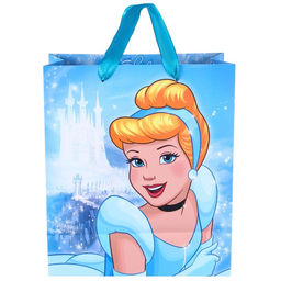 Пакет ламинированный вертикальный, 23 х 27 х 11,5 см Time to be princess, Принцессы - Disney фото 2