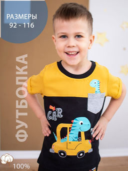BK1211F.С3 Футболка для мальчика