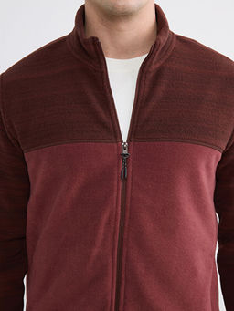 Dik Yaka Polar Erkek Fermuarl? Sweatshirt