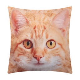 Подушка декоративная Рыжик