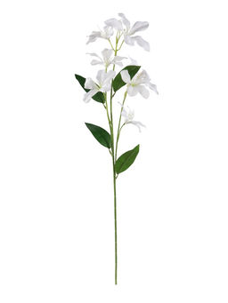 Цветы искусственные «Баухиния пёстрая», d=13 см, h=71 см, белые