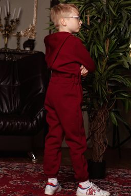 Футер 3х нитка С НАЧЕСОМ комбинезон с капюшоном - Knitka wear фото 4