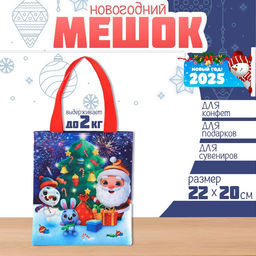 Мешок для конфет Дед Мороз, детский шопер, 22 ? 20 см