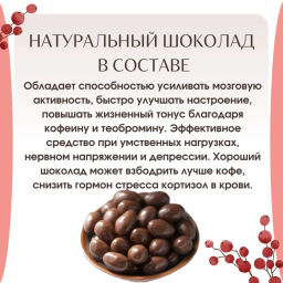Драже Ягоды годжи в шоколаде 100 г Алфит 6936 фото 9