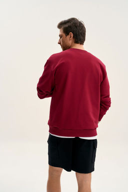 Джемпер GO M4107E/12-01.182-188 вишня