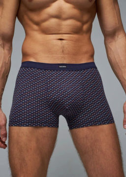 Трусы мужские боксеры Rogers 83147 модал, эластан размеры M, L, XL, 2XL  фото 5