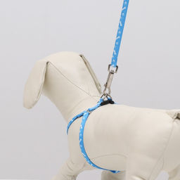 Комплект Классика, капрон, поводок 120 х 1 см, ОГ 21-35 см, голубой - Пижон фото 8