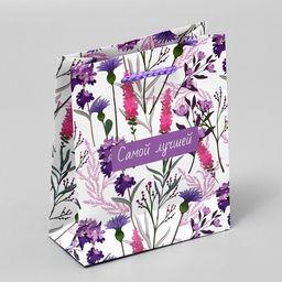 Цена за 2 шт. Пакет подарочный ламинированный, упаковка, «Самой лучшей», S 12 х 15 х 5.5 см