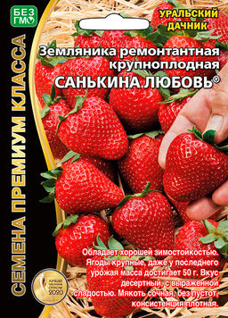 Земляника САНЬКИНА ЛЮБОВЬ Ремонтантная, крупноплодная! Хорошая зимостойкость! Вкус десертный с выраженной сладостью!