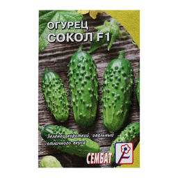 Цена за 5 шт. Семена Огурец "Сокол", F1,  0,2 г
